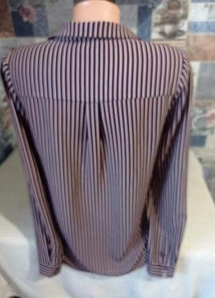 Блуза блузка в смужку на гудзиках2 фото