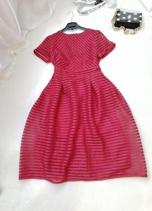 ✅ гарна ошатна сукня бордо сітка шикарно тримає форму спідниця єдиний мінус зламана блискавка при пр4 фото
