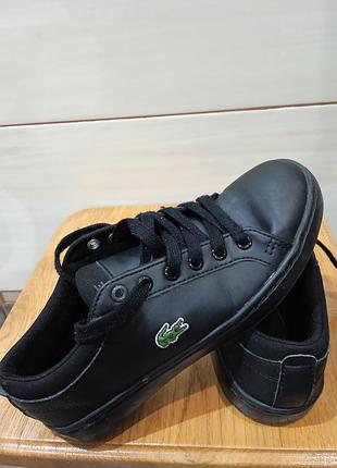 Кеди lacoste 3