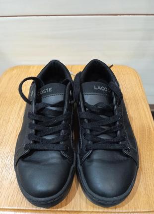 Кеди lacoste 2