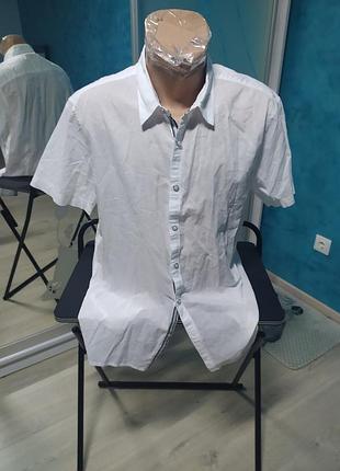 Сорочка в стилі casual, котон