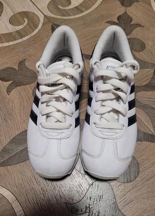 Кросівки adidas