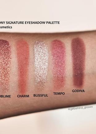 Палетка тіней + хайлайтер ofra signature eyeshadow palette symphony 10 г3 фото