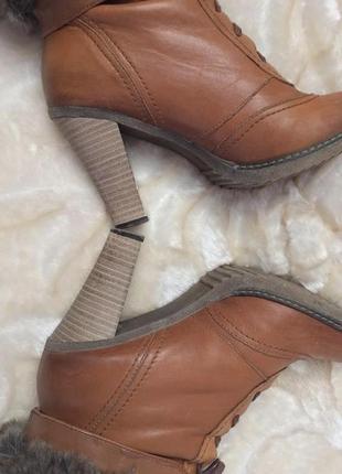 Чоботи в стилі celine жіночі зимові шкіряні черевики на підборах ботильйони3 фото