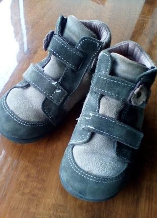 Черевички черевики демі шкіра шкіра замш pepino