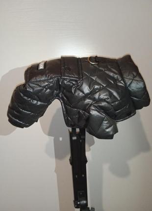 Куртка, пуховик, комбінезон для собаки