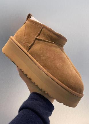 Сапоги ugg mini, бежевые1 фото