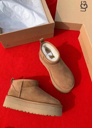 Сапоги ugg mini, бежевые5 фото