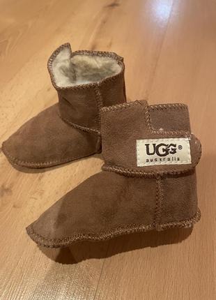 Натуральные пинетки ugg australia, 12,5-13 см4 фото