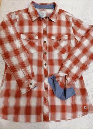 Яскрава сорочка в клітку з 💯 % котон