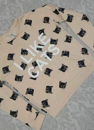 Cвiтшот (яш2)