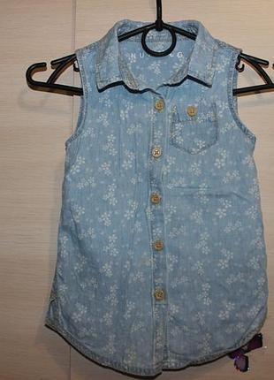 Стильна сорочка nutmeg