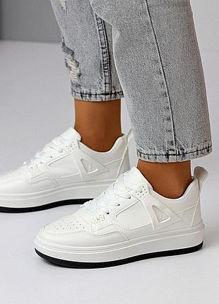 Кеди 6