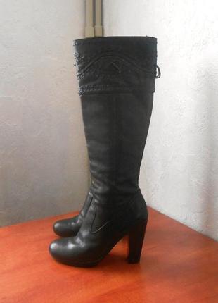 Стильні шкіряні демісезонні чоботи від бренду ash, р.38 код v3802