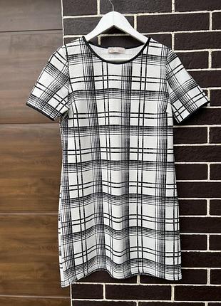 Платье Tameo rose