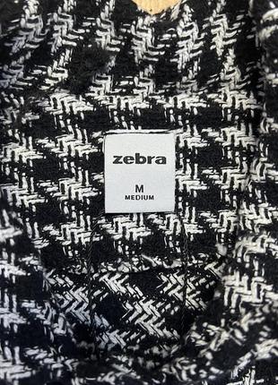 Піджак zebra2 фото