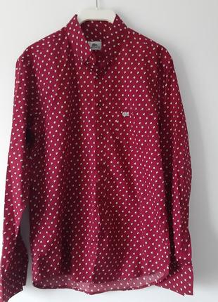 Сорочка з клітинами від lacoste