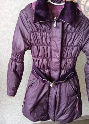 Новое осень весна 2