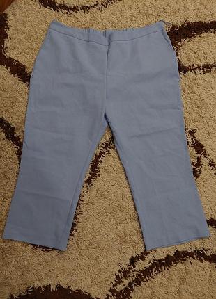 Штани, бріджи  bonmarshe