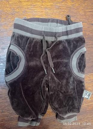 Штанці 50-56 розміру 1205
