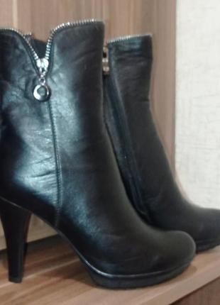 Жіночі чобітки