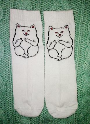 Носки супермодные кот хулиган rip and dip