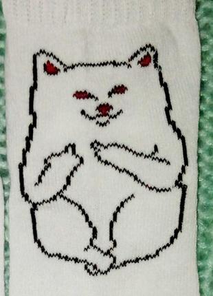 Носки супермодные кот хулиган rip and dip