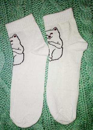 Носки супермодные кот хулиган rip and dip