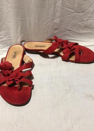 Мегакласні та якісні шльопки бренд paul green