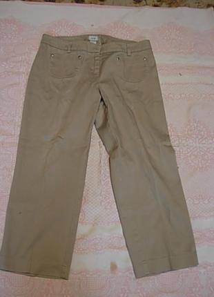 Бриджи автомобилиста cache