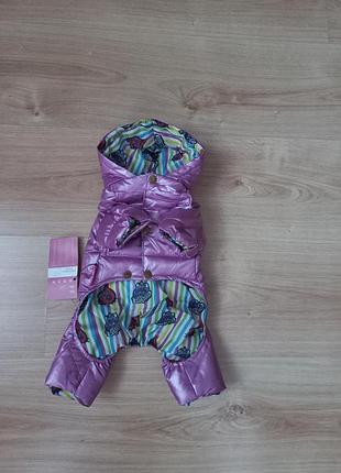 Одяг комбінезон для маленької собачки