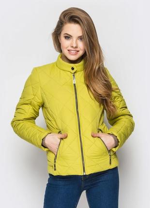 Розпада! куртка жіноча демісезонна 33 (яблуко)