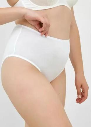 Трусики-макси george батальный размер