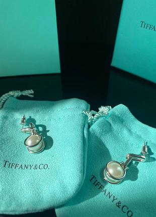 Брендовые серьги 2