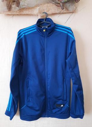 Олимпийка adidas