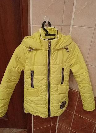 Куртка весна осень