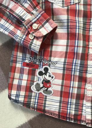 Рубашка mickey mouse2 фото