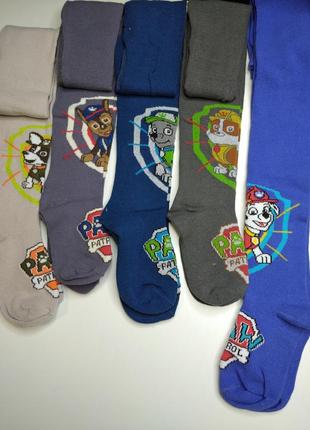 Колготи колготки 2