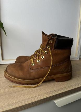 Черевики timberland