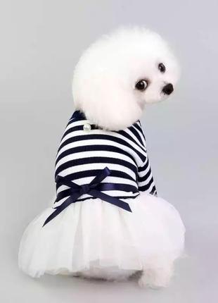 Одяг для собак