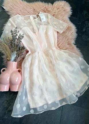 Красивое платье в горох из органзы, имеет подклад, красивое пудрово-розовый цвет h&amp;m2 фото