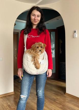 Сумка-переноска для собачок