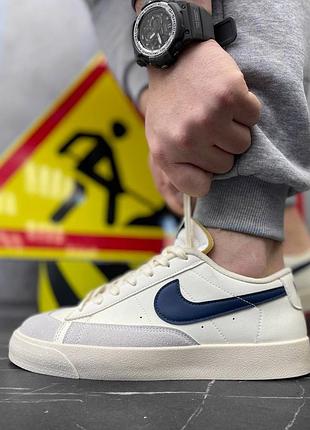 Мужские кроссовки nikesb