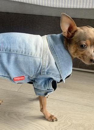 Джинсовая куртка для собаки6 фото