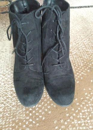 Замшеві ботильйони німецькі graceland