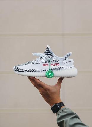 Мужские кроссовки adidas yeezy boost 350 v2 zebra 40-41-42-453 фото