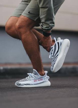 Мужские кроссовки adidas yeezy boost 350 v2 zebra 40-41-42-456 фото