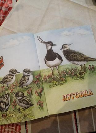 Книга,, сказки о животных,,3 фото