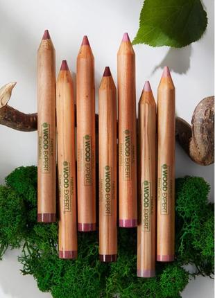 Помада-карандаш для губ jumbo lipstick & liner (41068-41074)1 фото