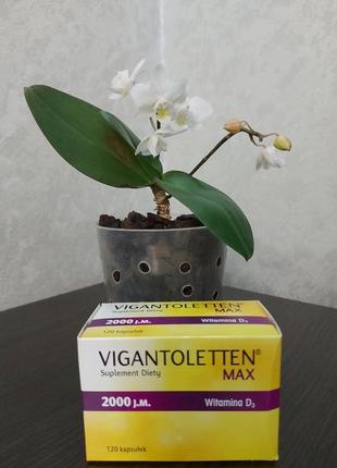 Вігантолетен. vigantoletten. вітамін д3. витамин д3